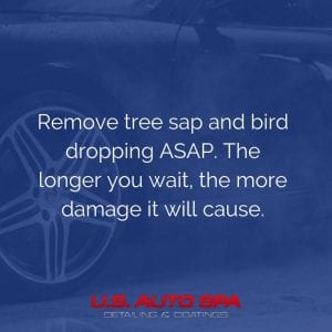 ceramic car coatings protects your vehicle from bird droppings and tree sap